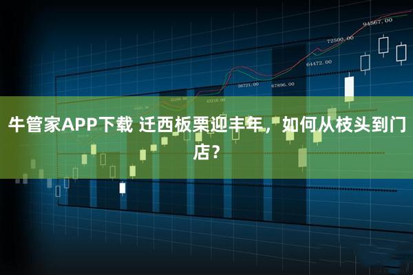 牛管家APP下载 迁西板栗迎丰年，如何从枝头到门店？
