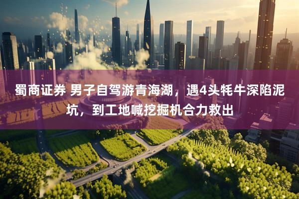 蜀商证券 男子自驾游青海湖，遇4头牦牛深陷泥坑，到工地喊挖掘机合力救出