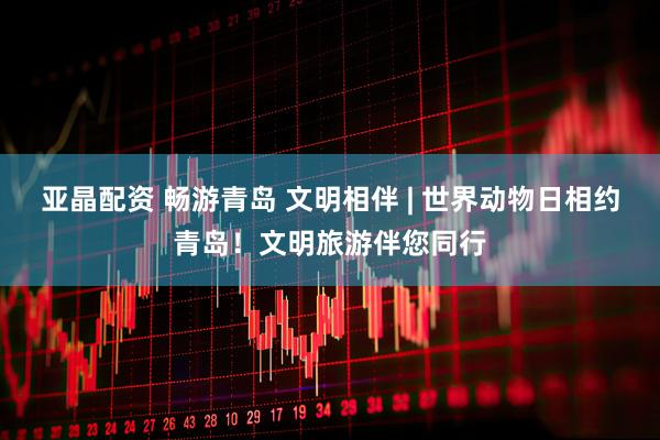 亚晶配资 畅游青岛 文明相伴 | 世界动物日相约青岛！文明旅游伴您同行
