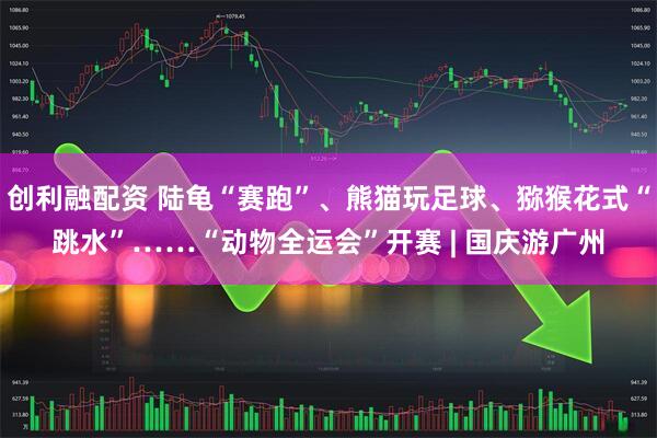 创利融配资 陆龟“赛跑”、熊猫玩足球、猕猴花式“跳水”……“动物全运会”开赛 | 国庆游广州